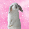 Space Bunny