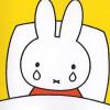 Lostbun