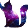 purplekittyprincess