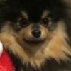 gyeongwong